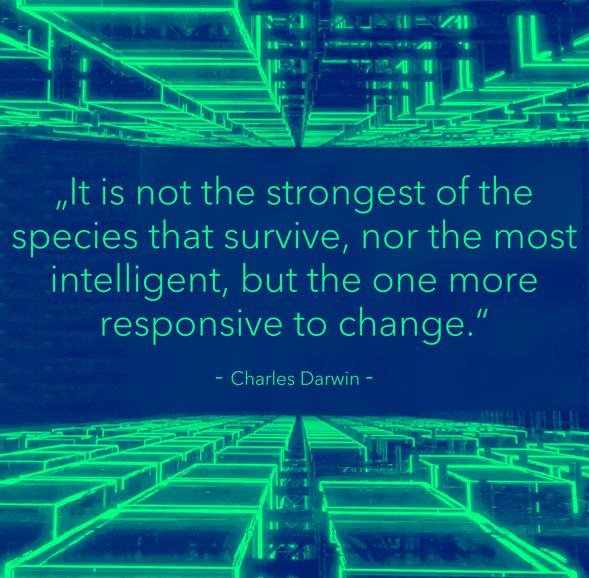 quote08_edited
